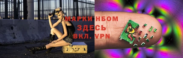 амф Аркадак