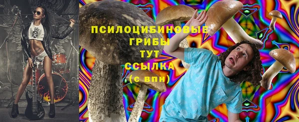 2c-b Армянск