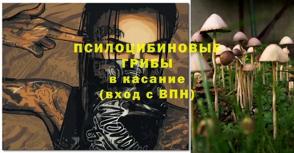 амф Аркадак