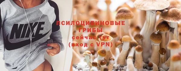 герыч Арсеньев