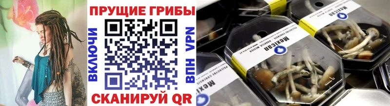 наркошоп  Спасск-Дальний  ссылка на мегу зеркало  Галлюциногенные грибы мицелий 